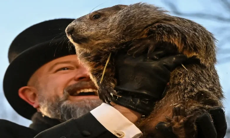 Did the Groundhog See His Shadow 2025